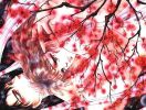 basara_009.jpg